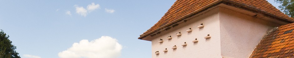 Bienvenue à la Ferme Rose…