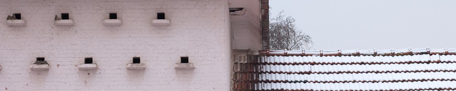 Bienvenue à la Ferme Rose…