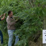 Travaux Ferme - Staff - 2013-09-22 - 013