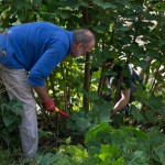 Travaux Ferme - Staff - 2013-09-22 - 085