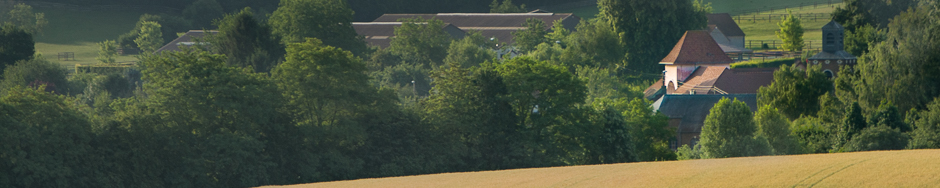 Bienvenue à la Ferme Rose…